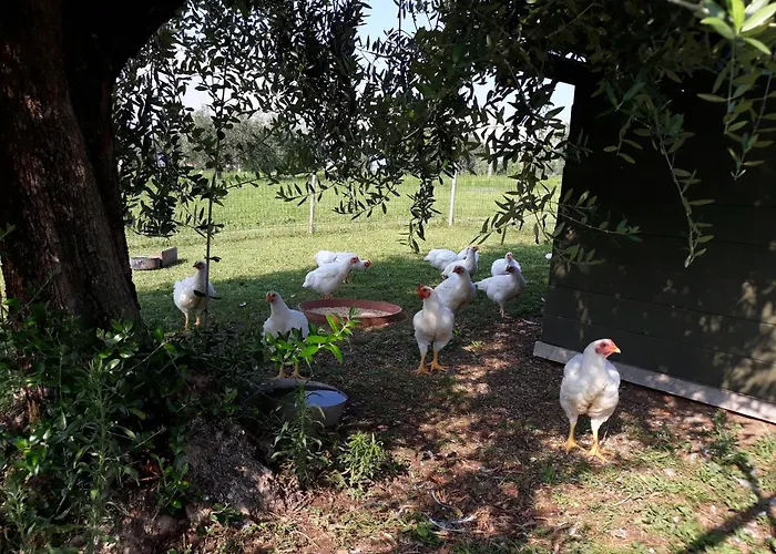 Agriturismo La Scala